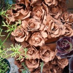 Rose Pot III - Terracotta